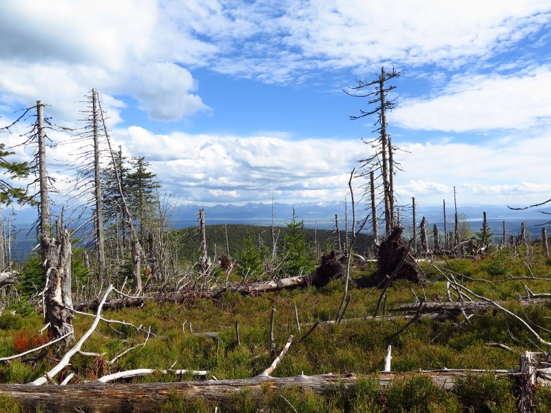 IMG_9776 (Custom).JPG