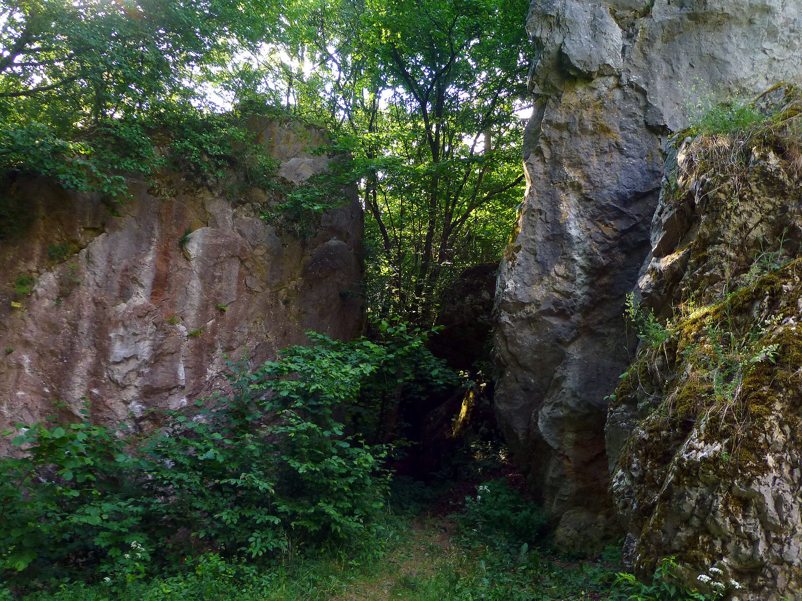 P1050040.JPG
