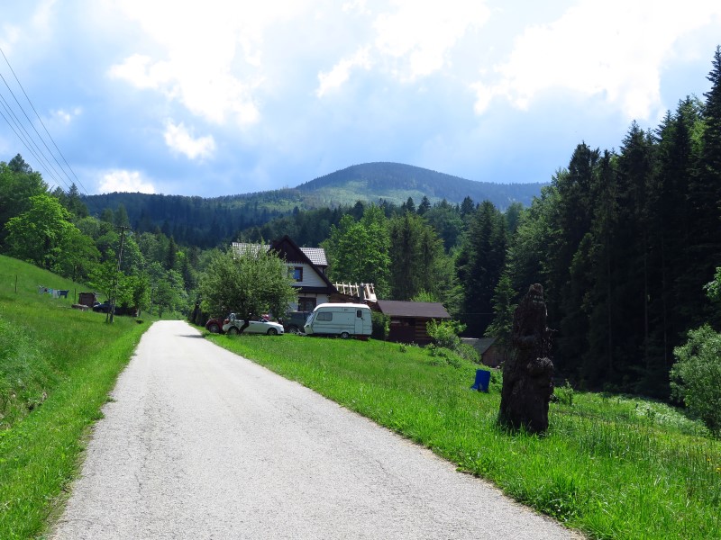 IMG_9997 (Custom).JPG