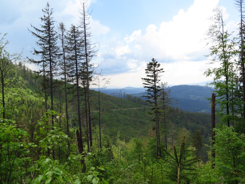 IMG_0026 (Custom).JPG