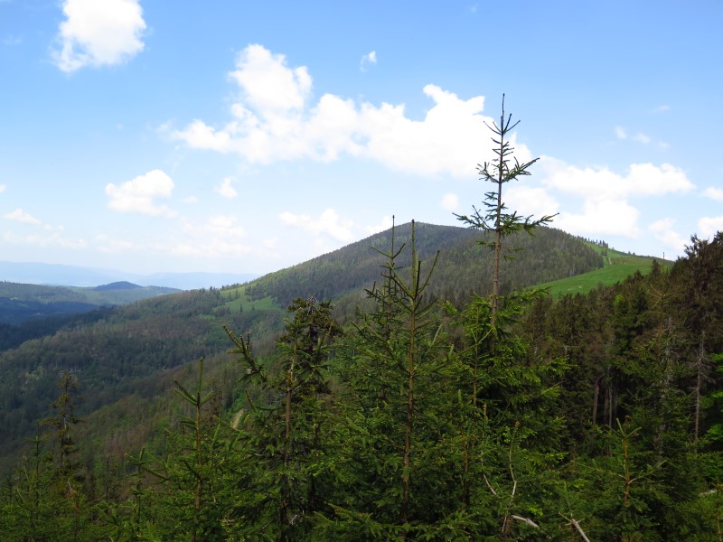 IMG_0050 (Custom).JPG