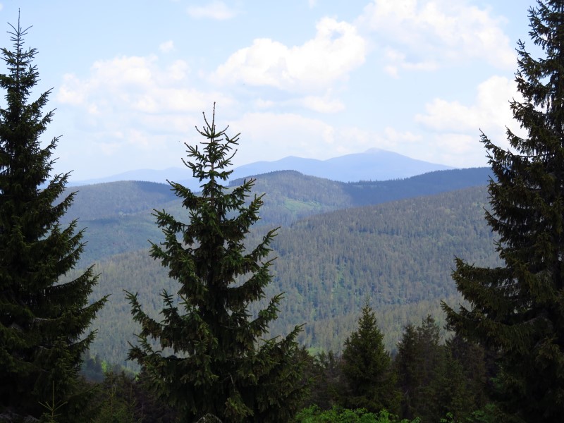 IMG_0065 (Custom).JPG