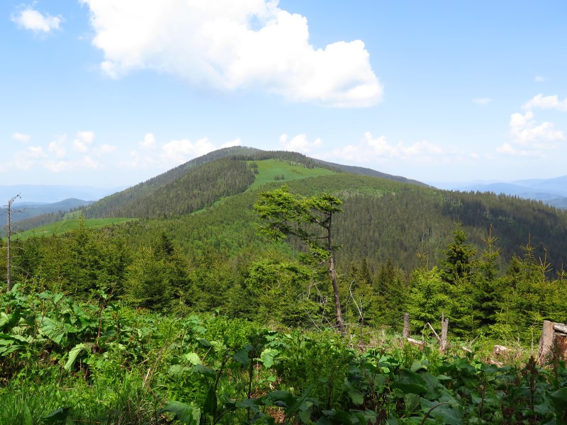 IMG_0067 (Custom).JPG