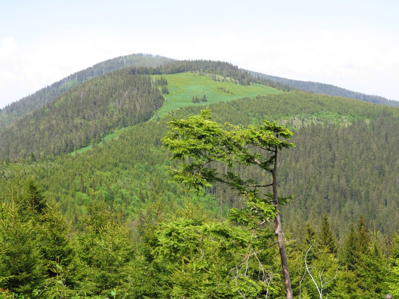 IMG_0068 (Custom).JPG