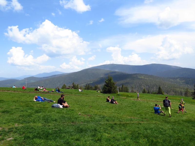 IMG_0079 (Custom).JPG