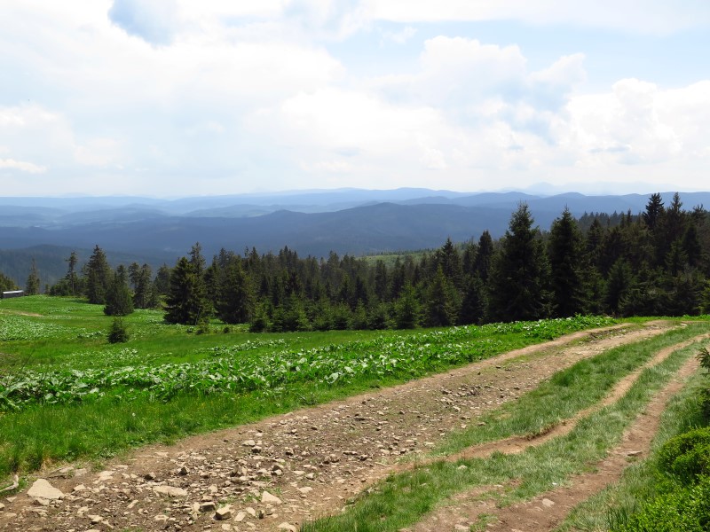 IMG_0082 (Custom).JPG