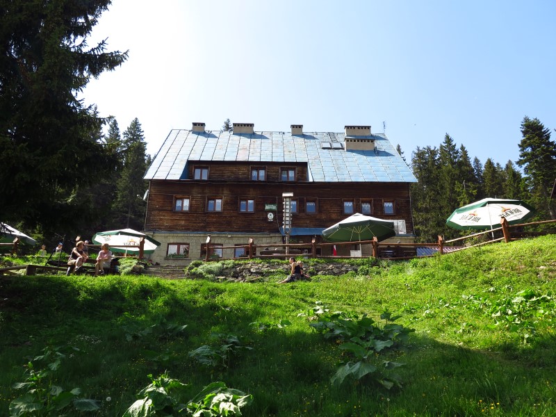 IMG_0133 (Custom).JPG