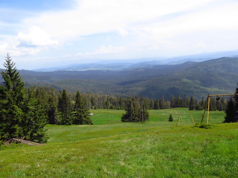 IMG_0146 (Custom).JPG