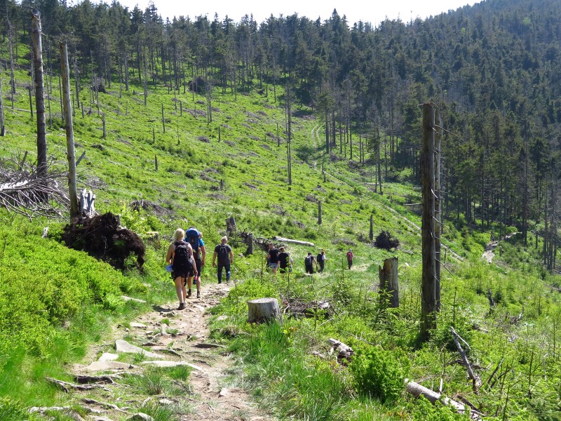 IMG_0176 (Custom).JPG