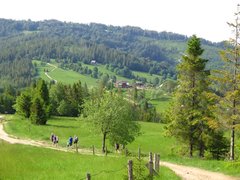 IMG_0190 (Custom).JPG