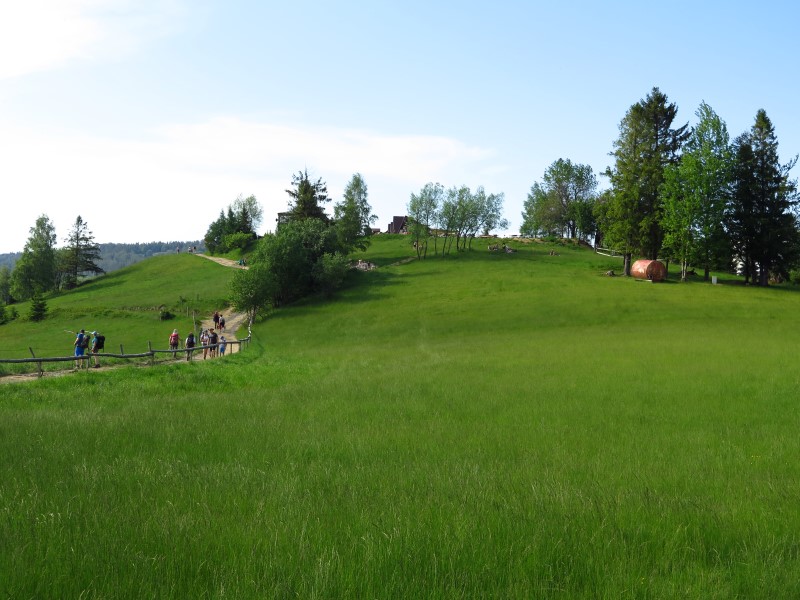 IMG_0192 (Custom).JPG