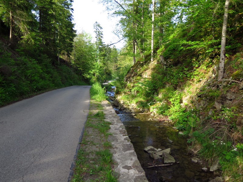 IMG_0194 (Custom).JPG