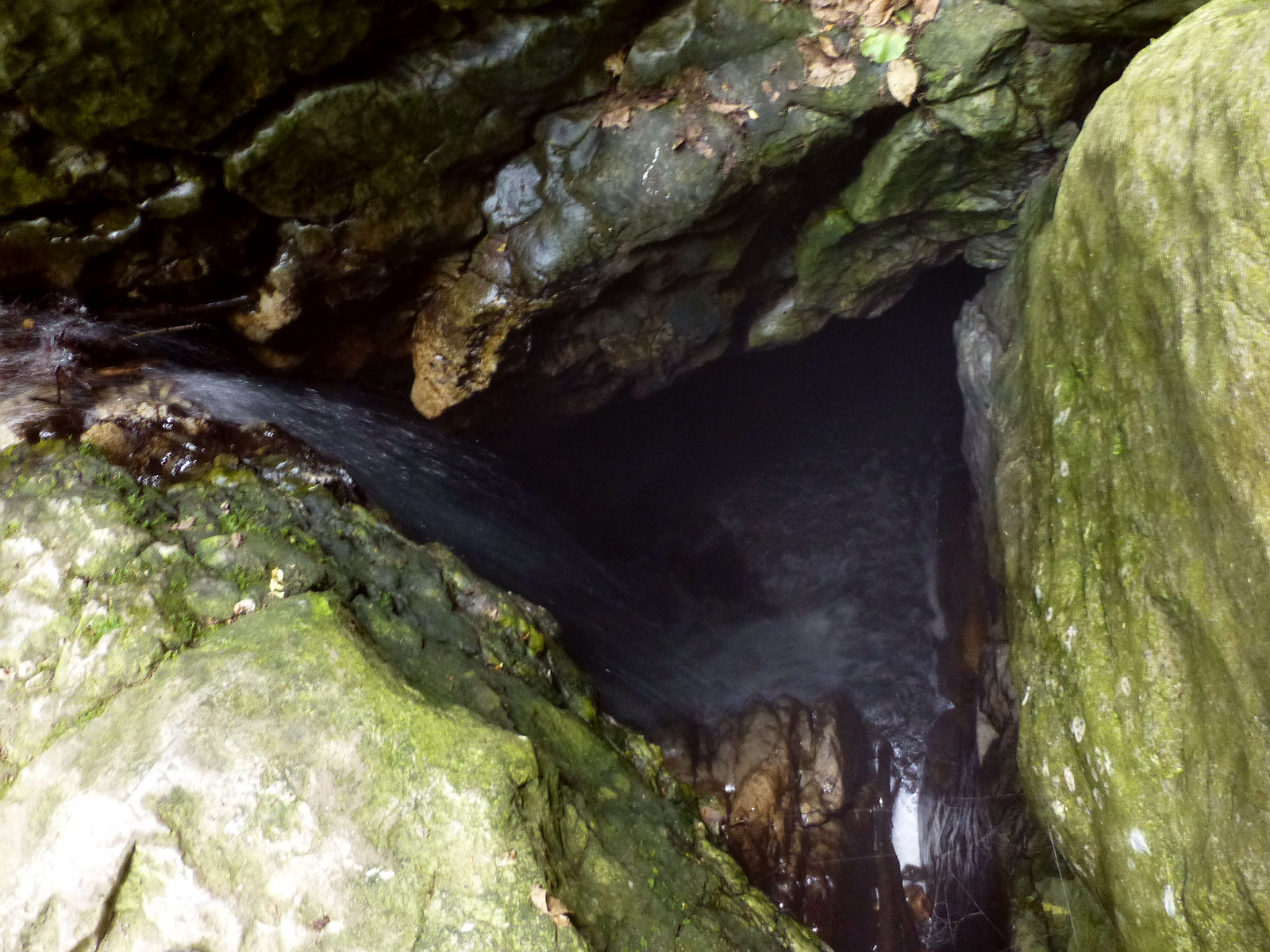 P1050067.JPG