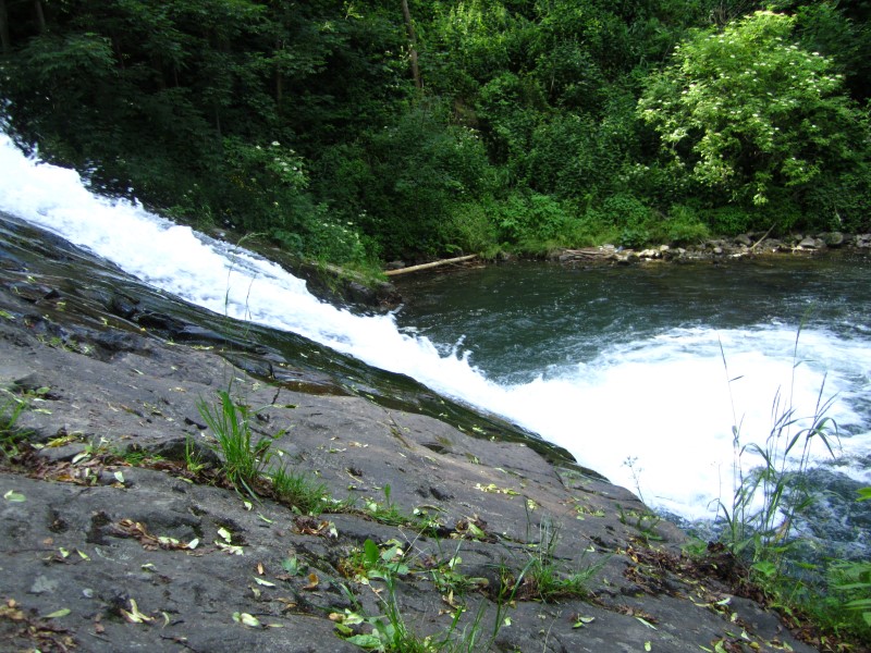 IMG_6662 (Custom).JPG