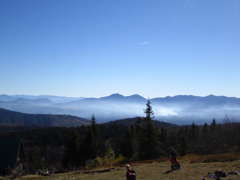 IMG_1252 (Custom).JPG