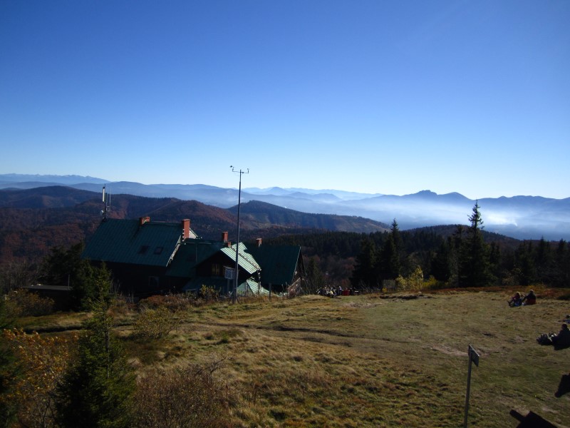 IMG_1253 (Custom).JPG