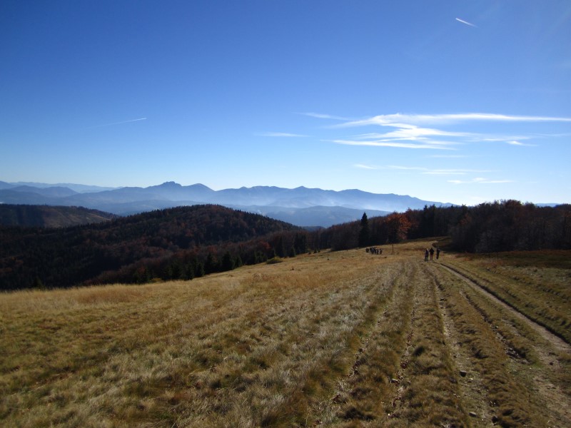 IMG_1270 (Custom).JPG