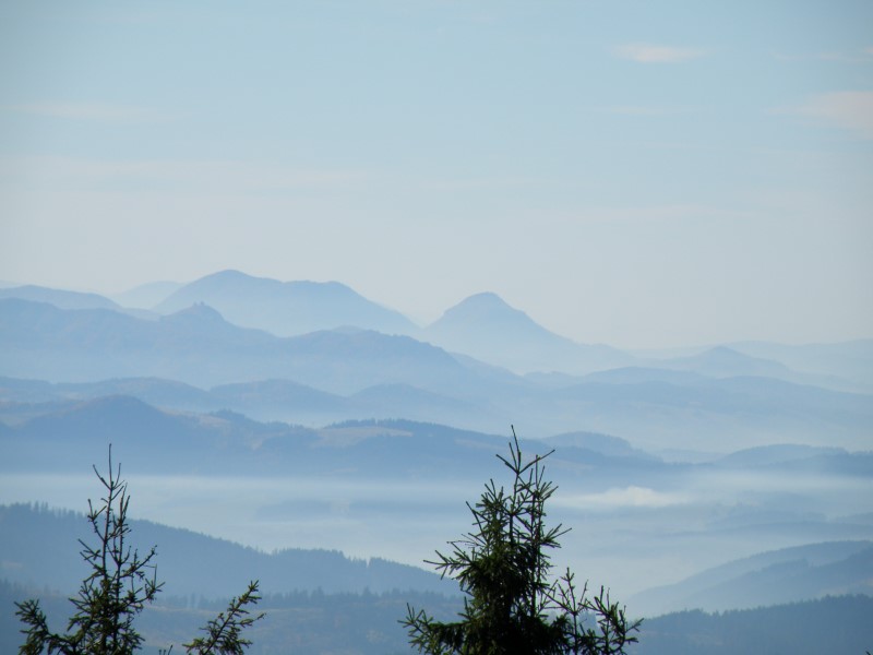 PA200287 (Custom).JPG