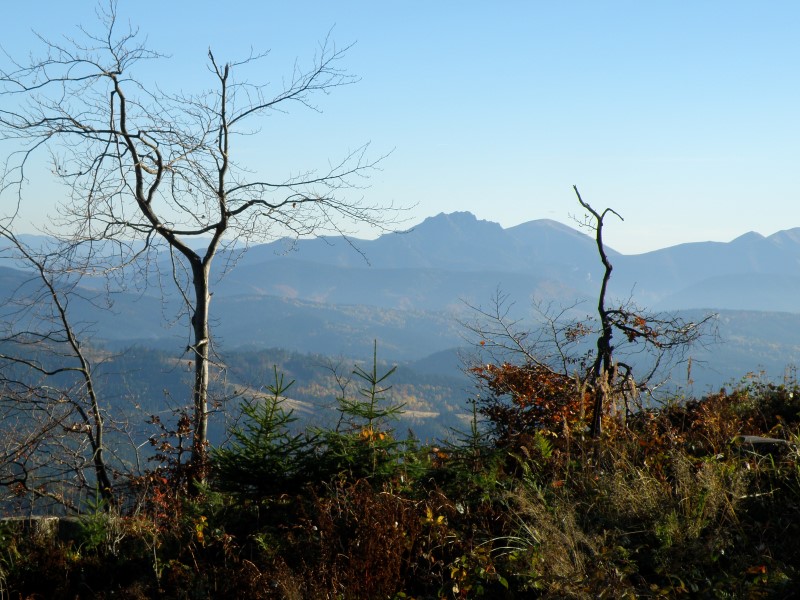 PA200373 (Custom).JPG