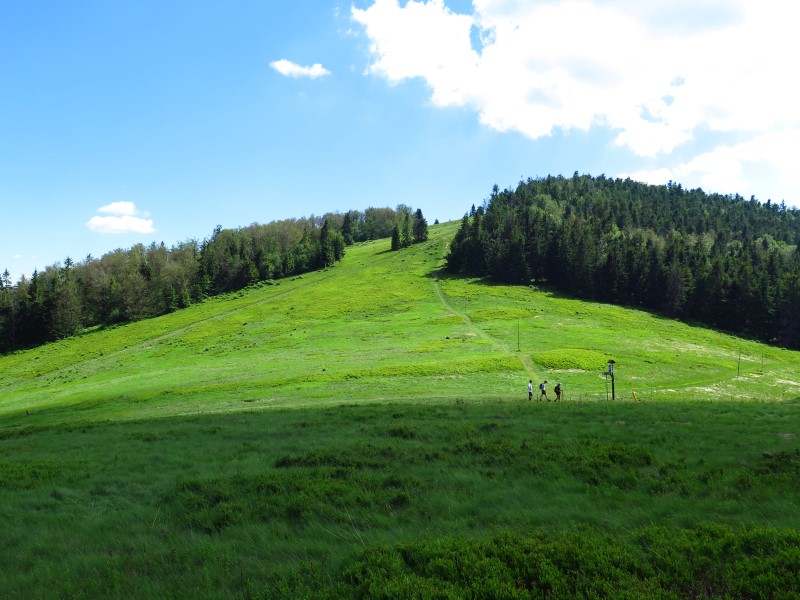 IMG_0355 (Custom).JPG