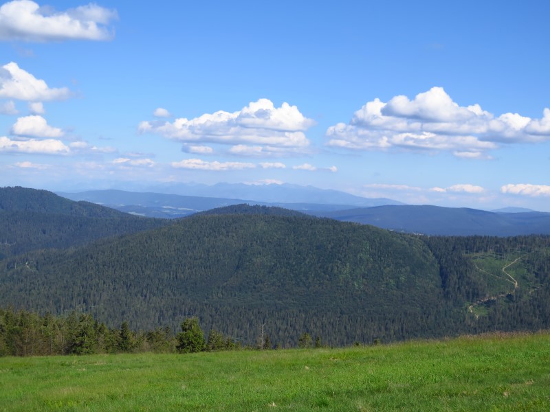 IMG_0394 (Custom).JPG