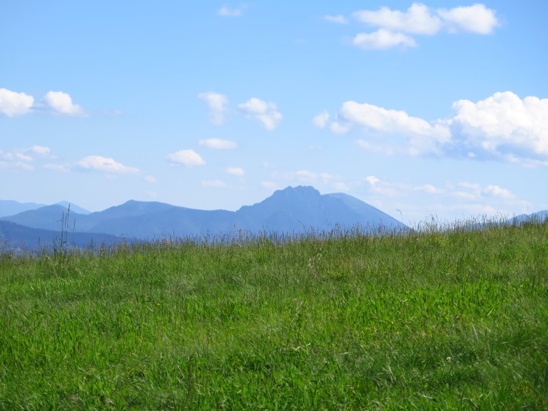 IMG_0396 (Custom).JPG