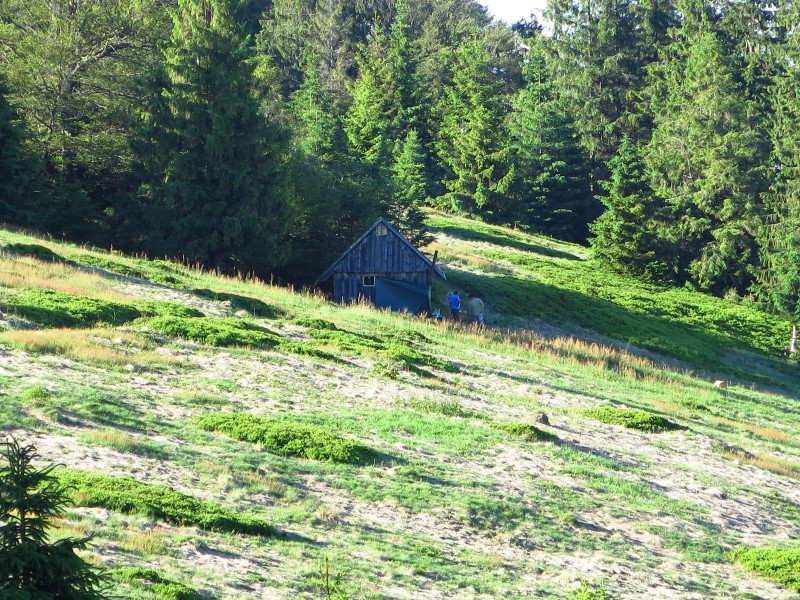 IMG_0427 (Custom).JPG