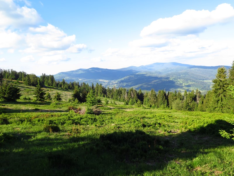 IMG_0432 (Custom).JPG