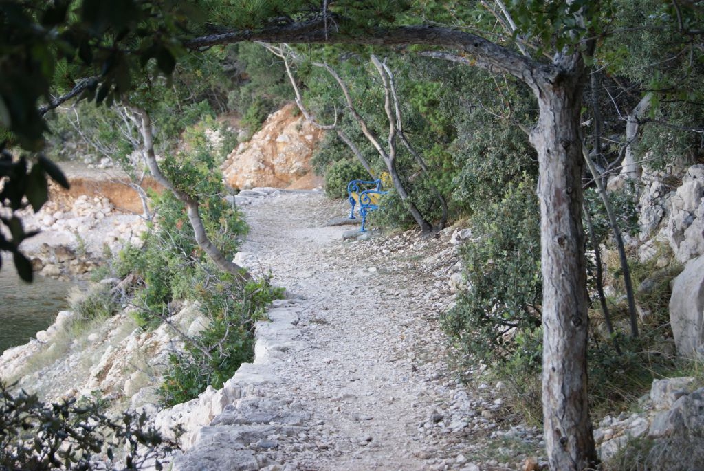 DSC00037.JPG DSC00037.JPG