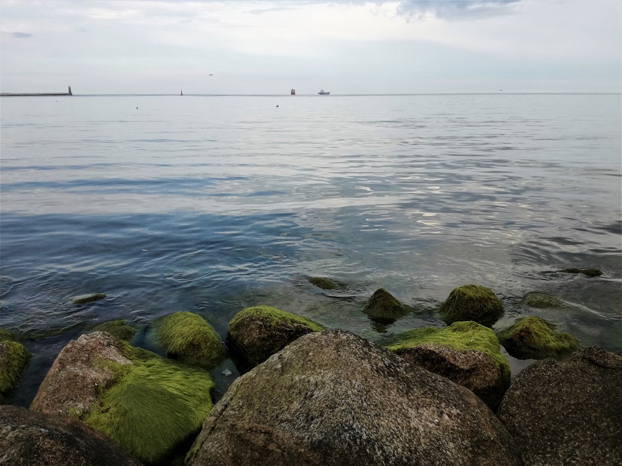 IMG_20200502_180358 (2).jpg