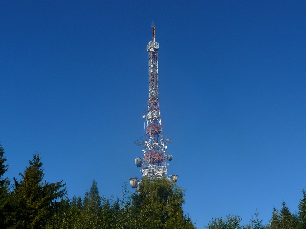 P1080160.JPG