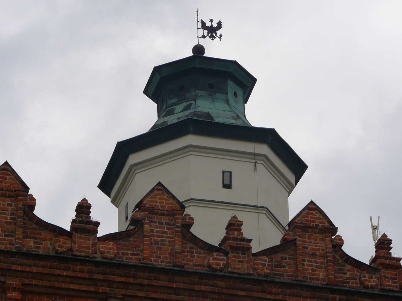P1100176.JPG