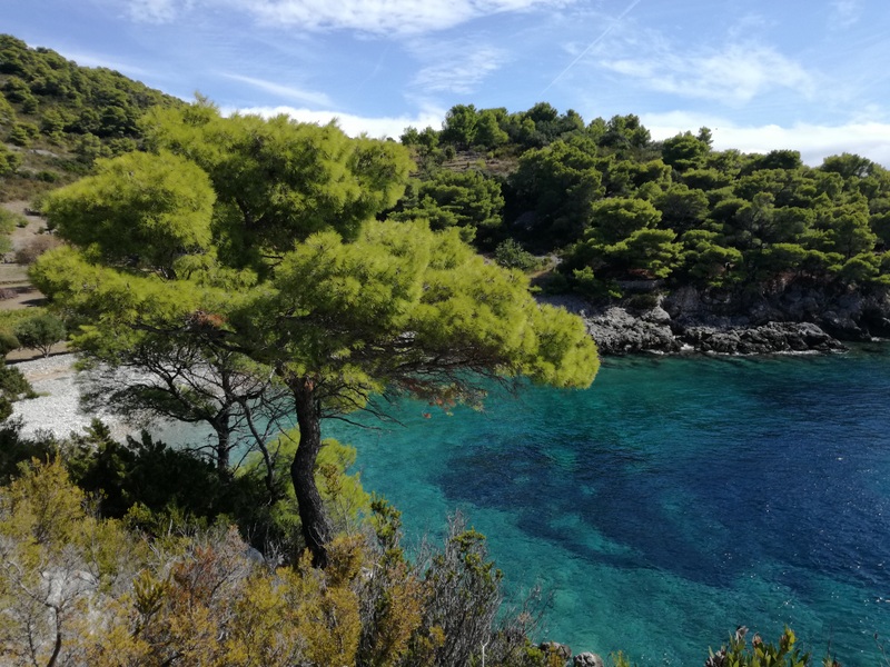 IMG_20190923_134430 (1).jpg