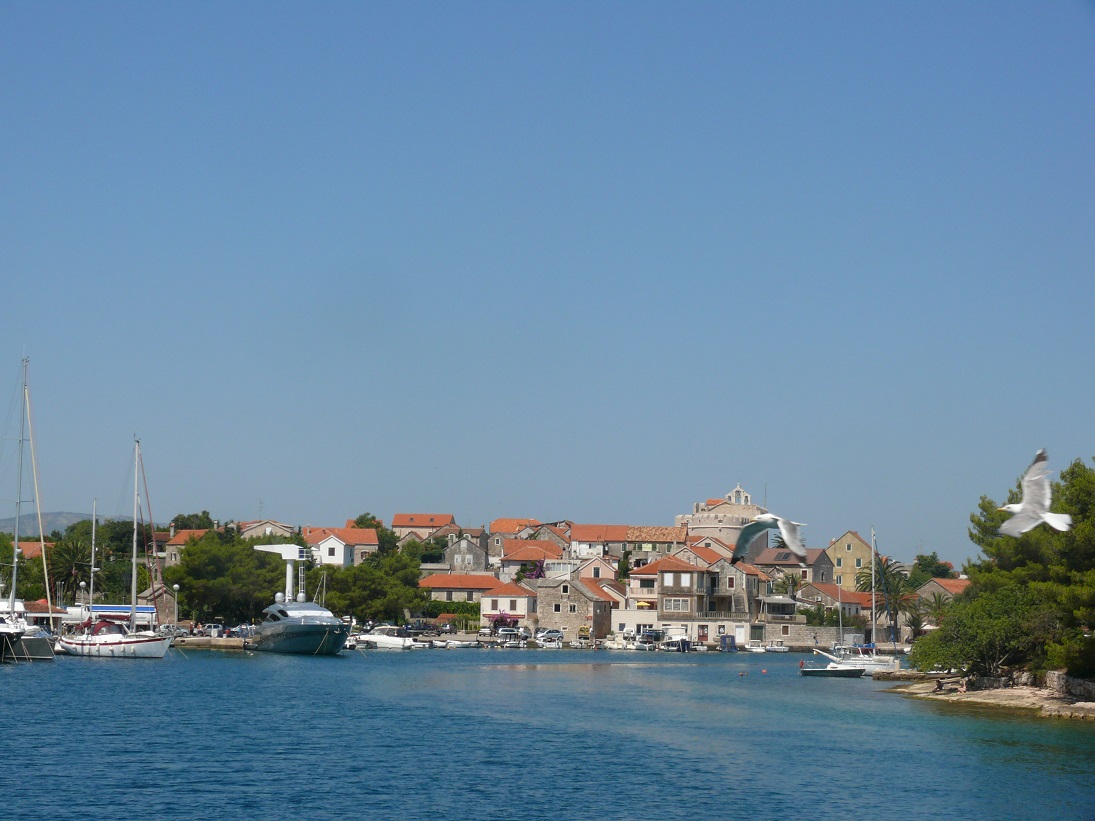 fischpiknik croatia 159.JPG