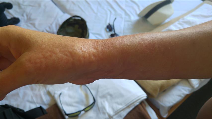 na drugi dzień / 20170707_135831 (Small).jpg 20170707_135831 (Small).jpg