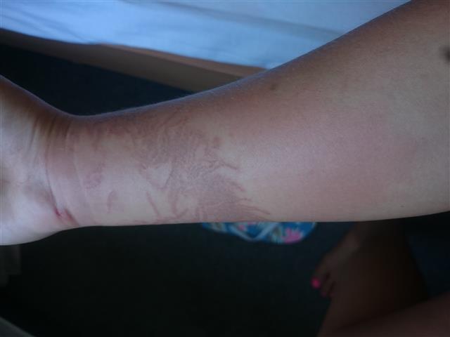 DSC_0013 (Small).JPG DSC_0013 (Small).JPG