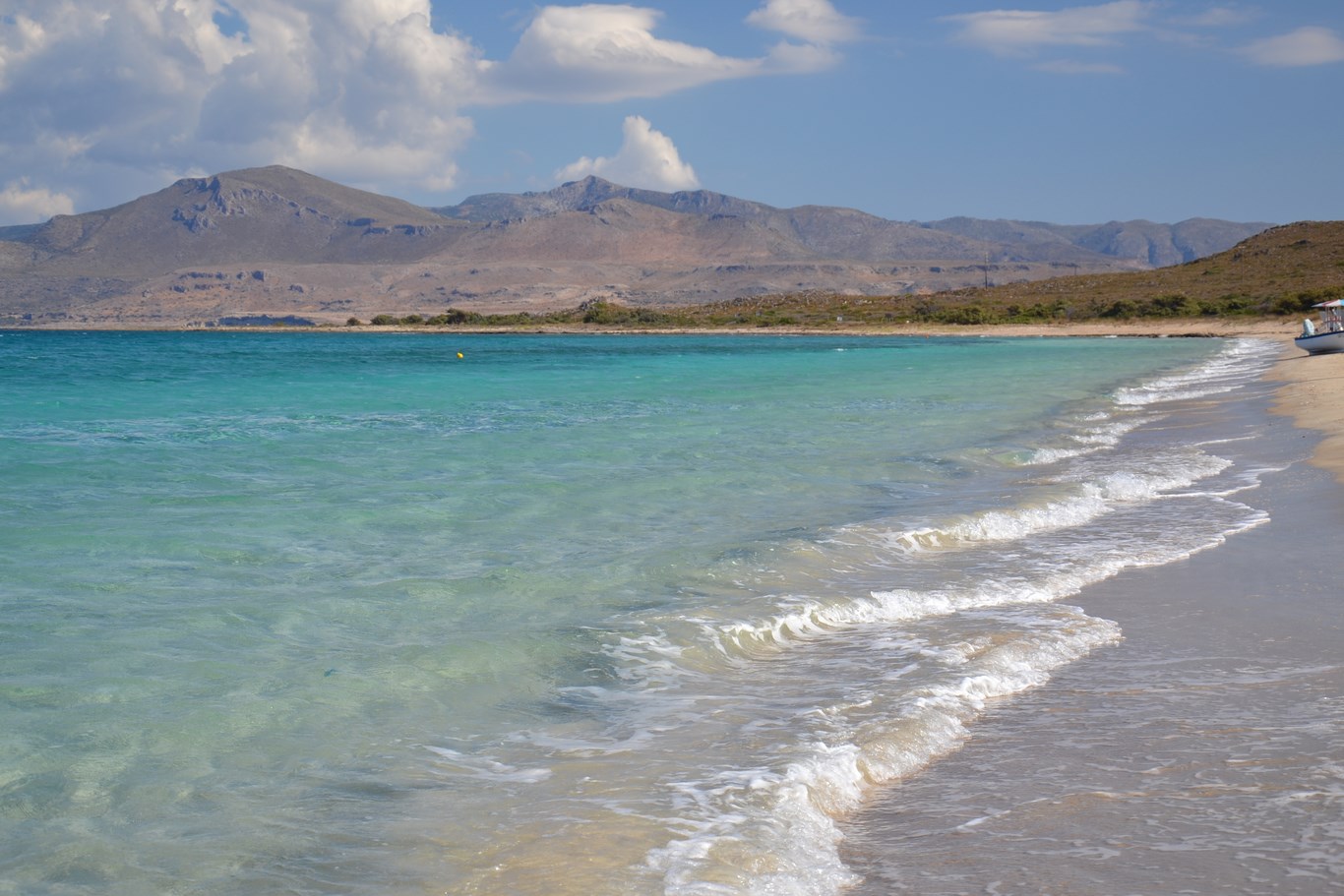 DSC_0148 (Kopiowanie).JPG