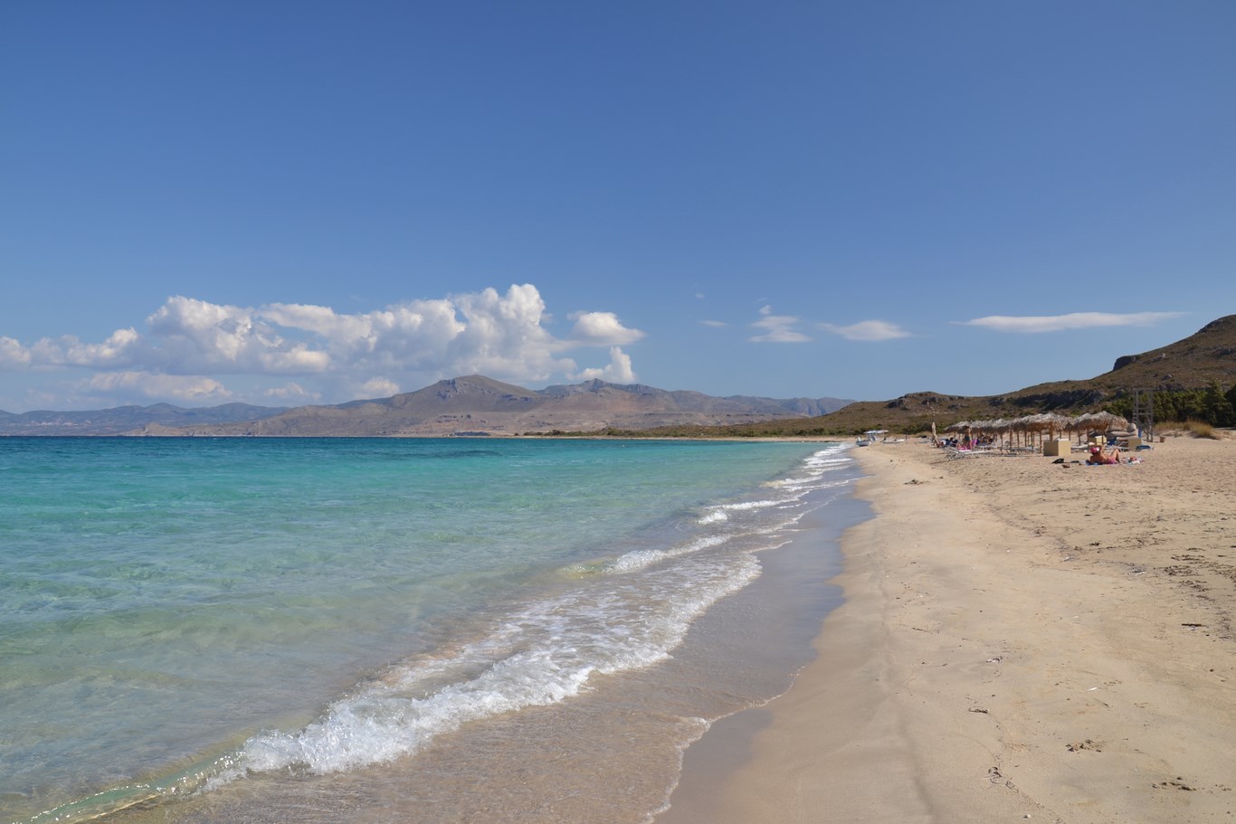 DSC_0149 (Kopiowanie).JPG