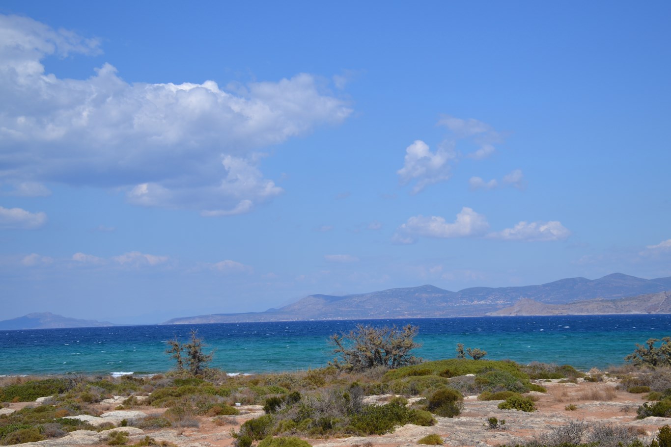 DSC_0192 (Kopiowanie).JPG