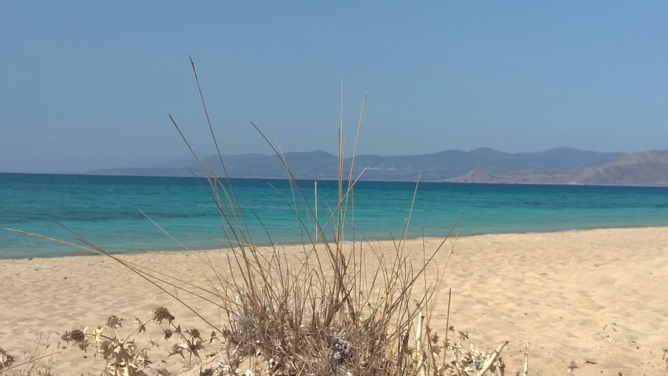 WP_20150917_052 (Kopiowanie).jpg