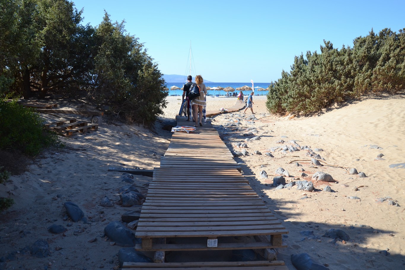 DSC_0223 (Kopiowanie).JPG