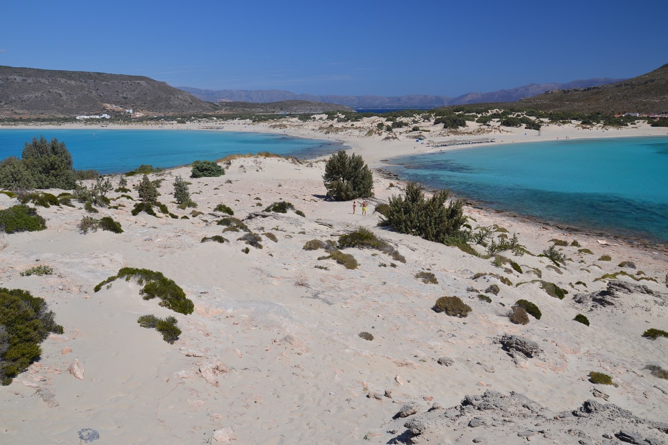 DSC_0282 (Kopiowanie).JPG