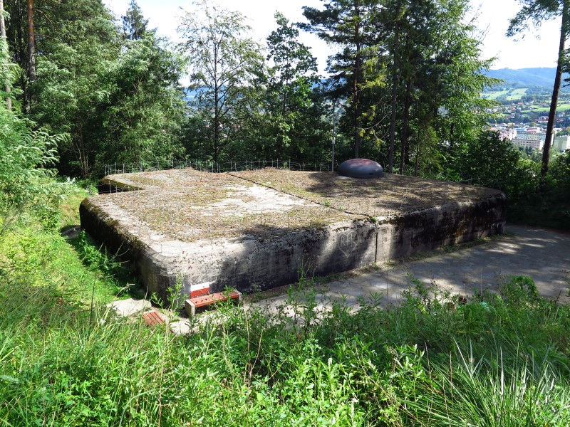 IMG_5815 (Custom).JPG