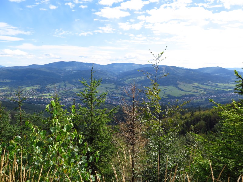 IMG_5862 (Custom).JPG