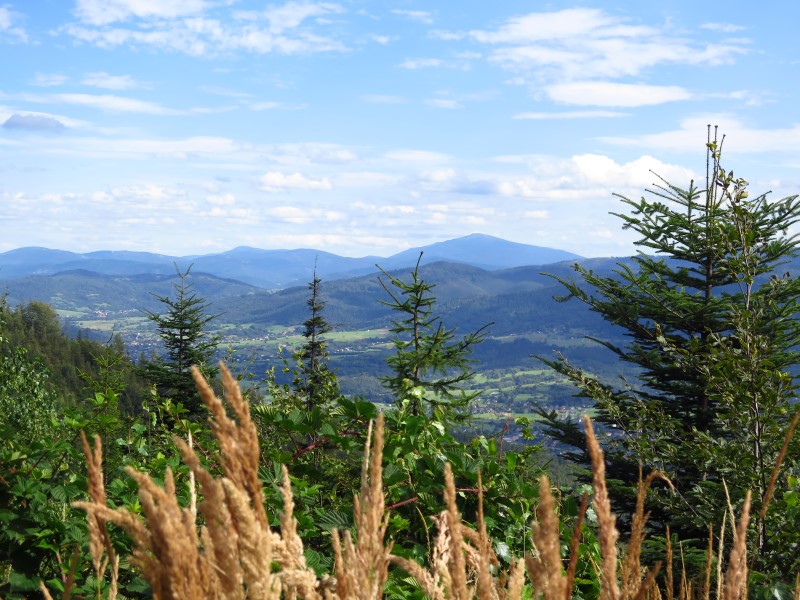 IMG_5867 (Custom).JPG