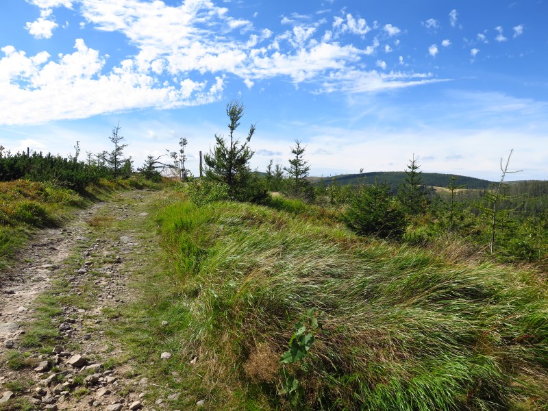 IMG_5924 (Custom).JPG