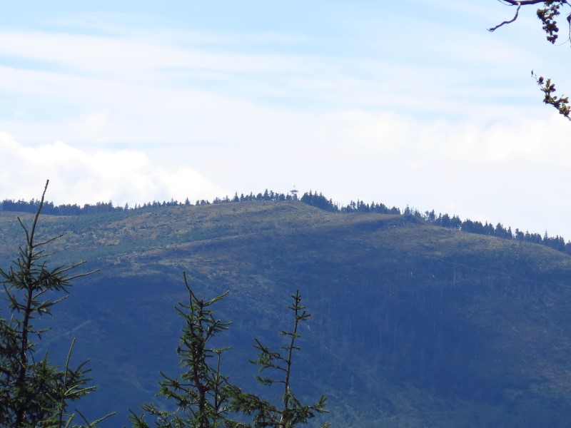 IMG_5941 (Custom).JPG