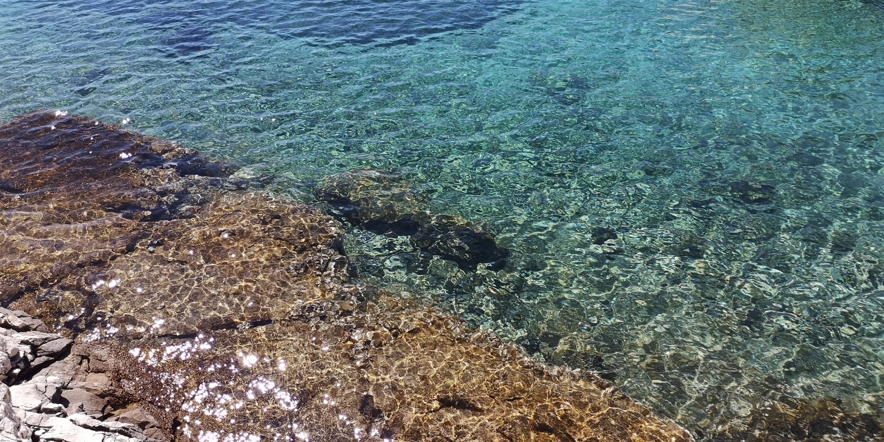 adam 5 (1280x640).jpg