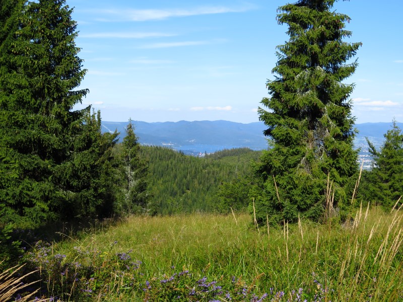 IMG_5979 (Custom).JPG