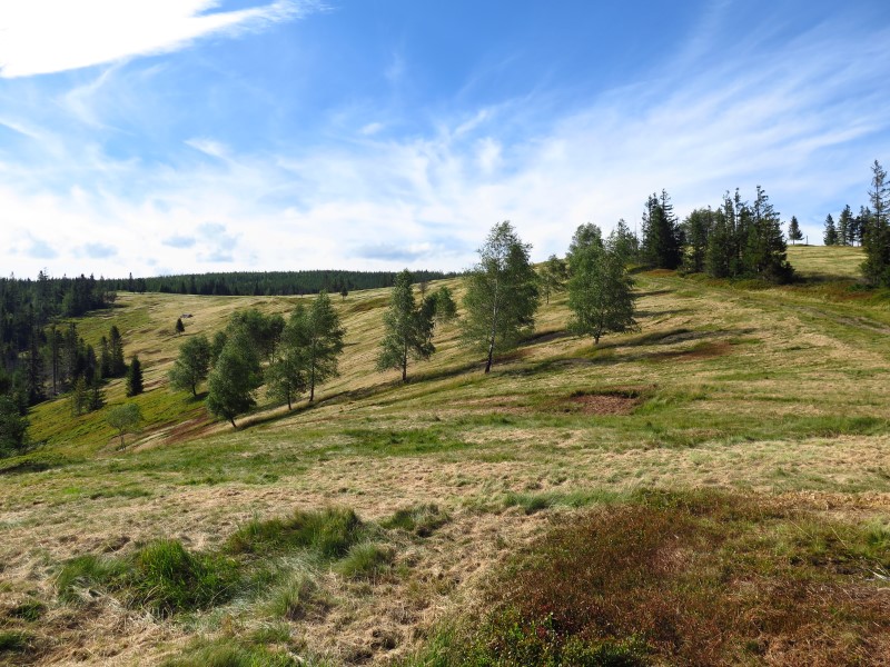 IMG_5989 (Custom).JPG